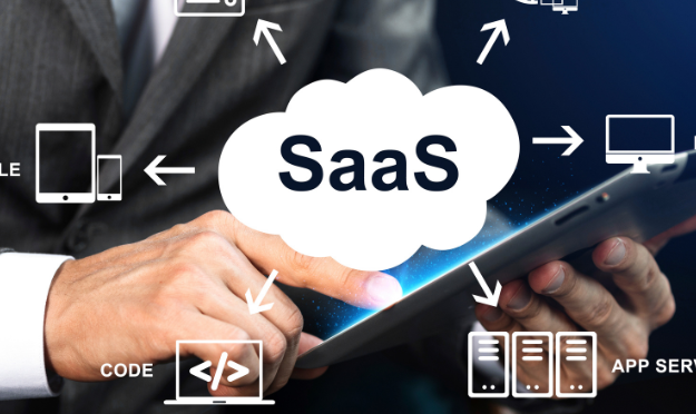 SaaS Platforms & Services Software services that store, process, or analyse customer information securely.