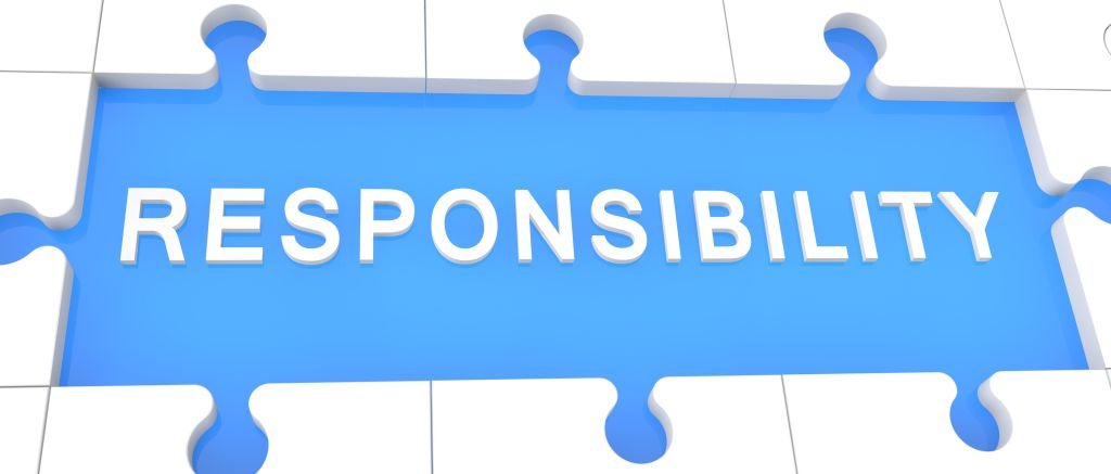 EU Responsible Person