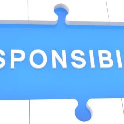 EU Responsible Person