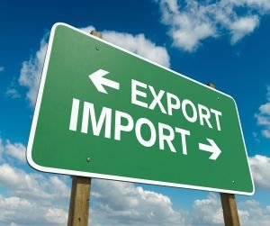 The Ultimate Guide to EU Customs: Importer of Record vs Indirect Representative